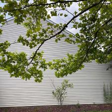 Major-Dr-Sayreville-NJ 6