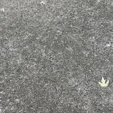 nine-months-after-service 17