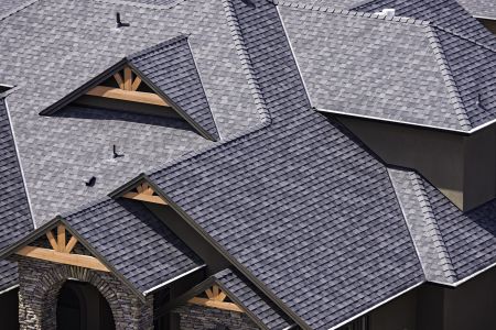 How Often Should You Clean Your Roof in New Jersey?